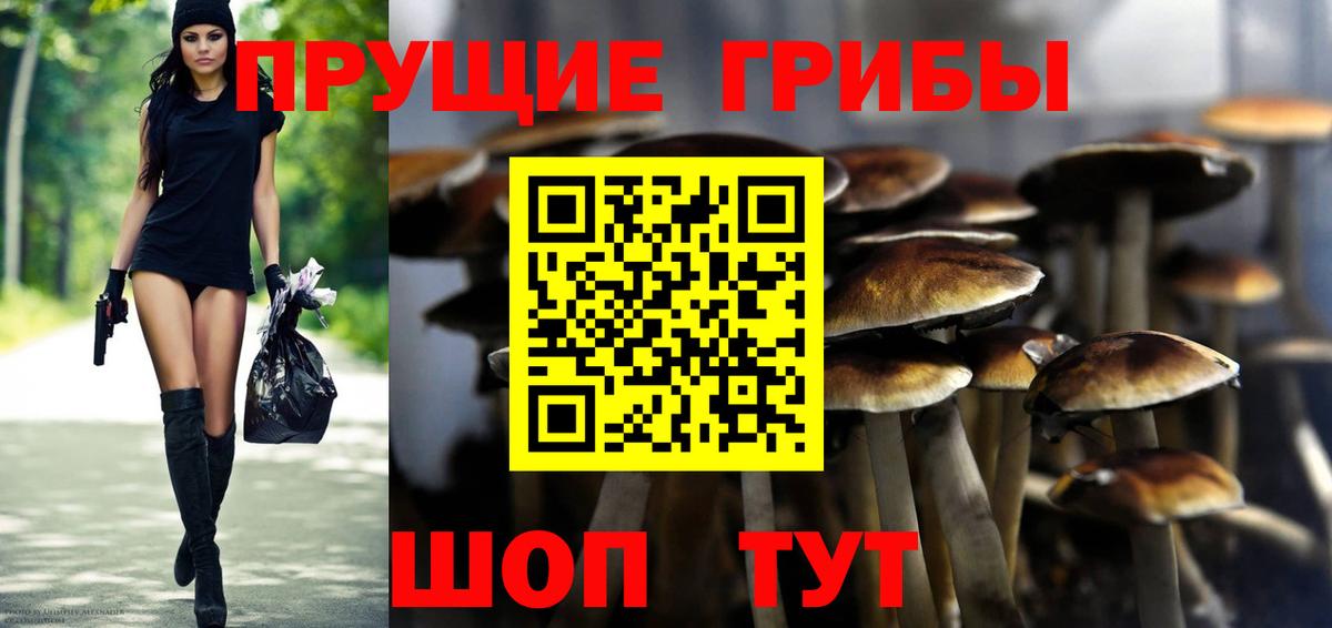 Галлюциногенные грибы Cubensis  Вход с VPN  Тверь 