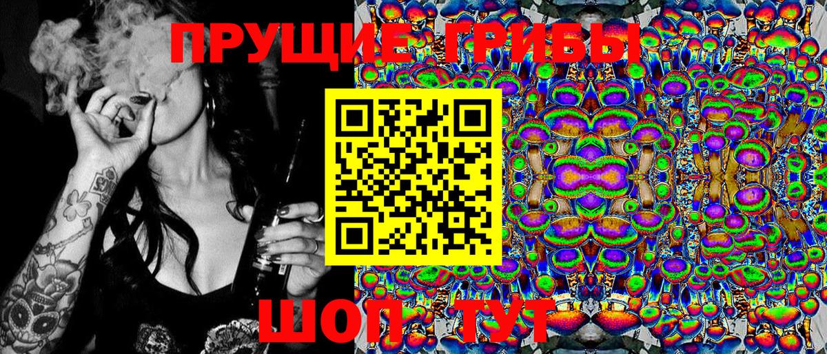 Галлюциногенные грибы прущие грибы Тверь